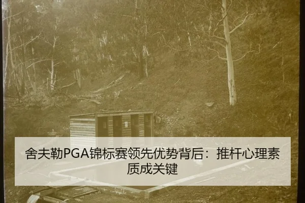 she-fu-lei-jin-biao-sai-ling-xian-you-shi-bei-hou-tui-gan-xin-li-su-zhi-cheng-guan-jian-2-333.jpg