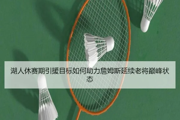 湖人休赛期引援目标如何助力詹姆斯延续老将巅峰状态